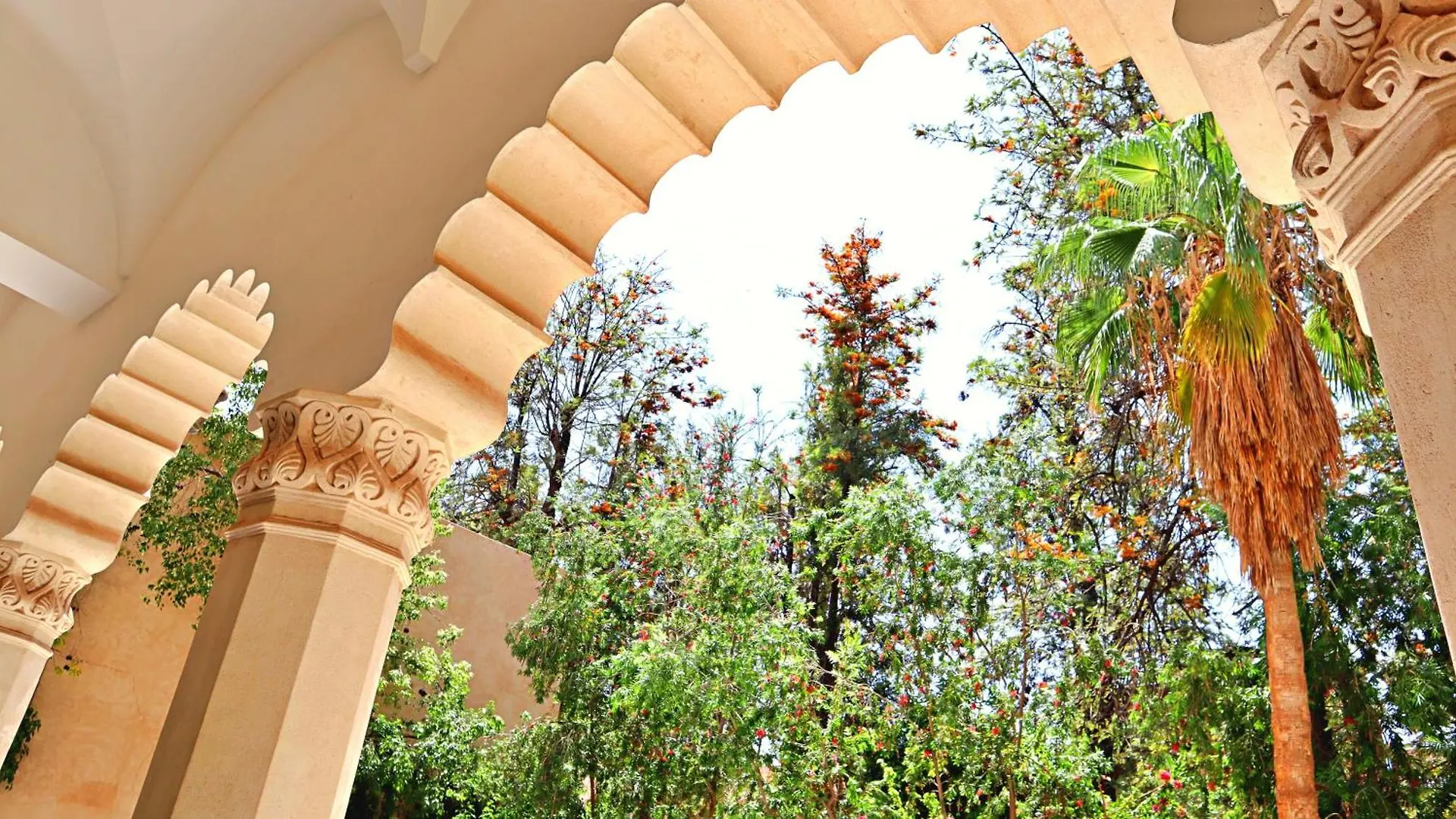 מרקש Barthelemy Guest House 0*,
